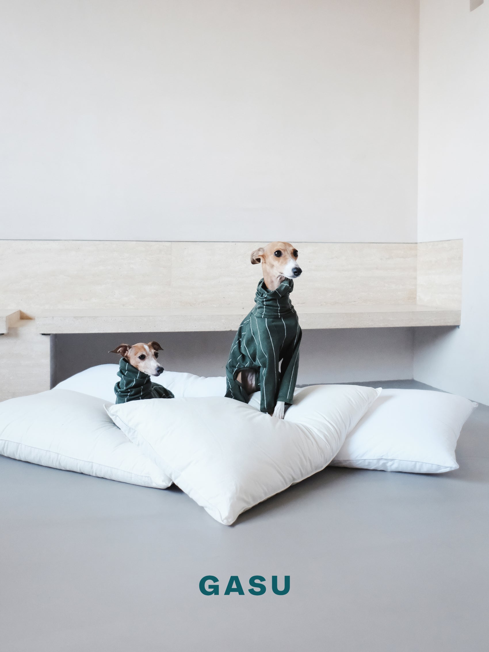 GASU Sommeil / [Tea] Soft Nighty 4-Leg Jumpsuit
