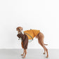 GASU Vautrer / [Mint Toffee] Detachable 4-Leg Raincoat / Windbreaker Jacket