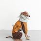GASU Vautrer / [Mint Toffee] Detachable 4-Leg Raincoat / Windbreaker Jacket