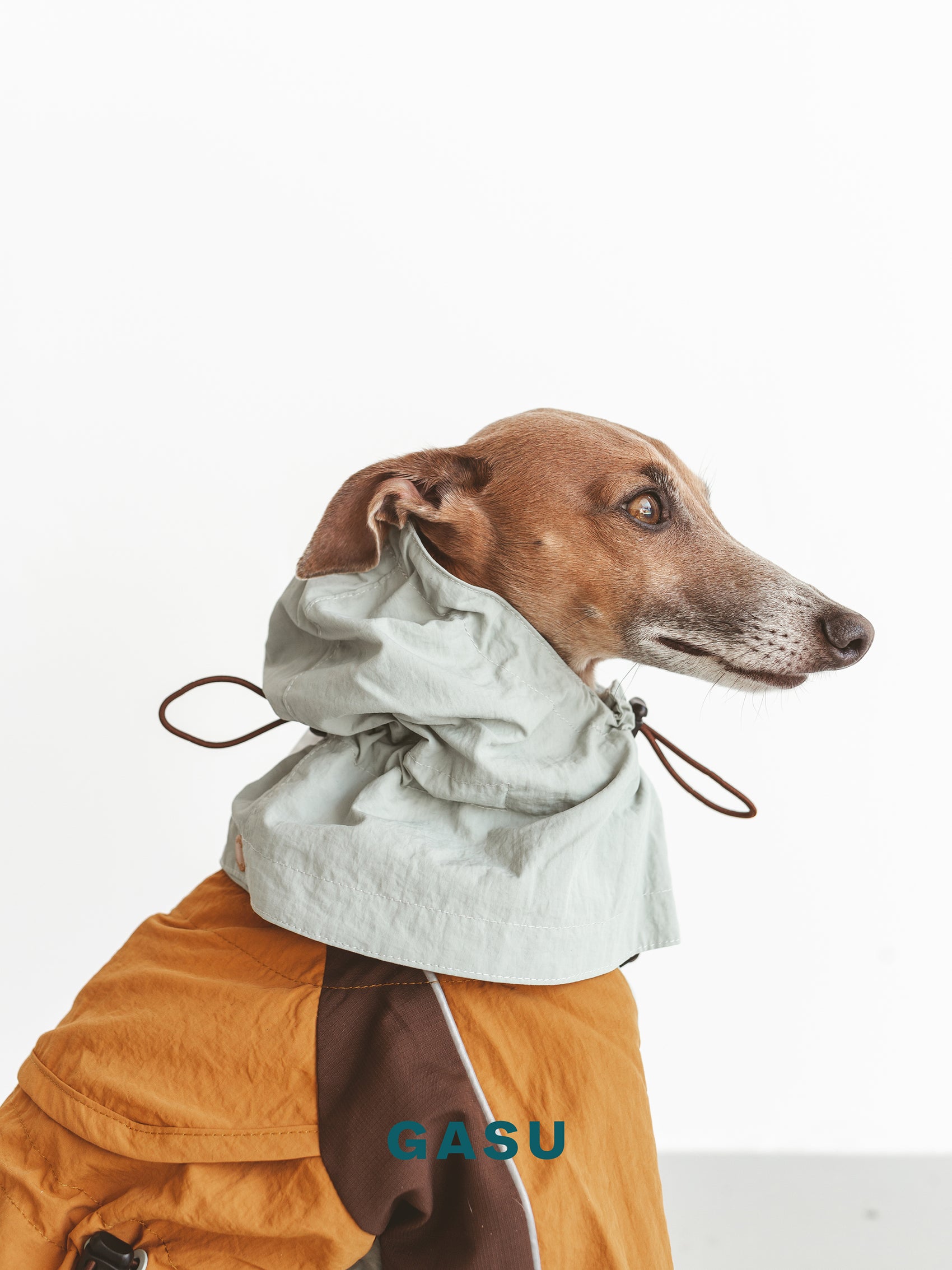GASU Vautrer / [Mint Toffee] Detachable 4-Leg Raincoat / Windbreaker Jacket