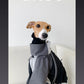GASU Vautrer / [Coal Grey] Detachable 4-Leg Raincoat / Windbreaker Jacket