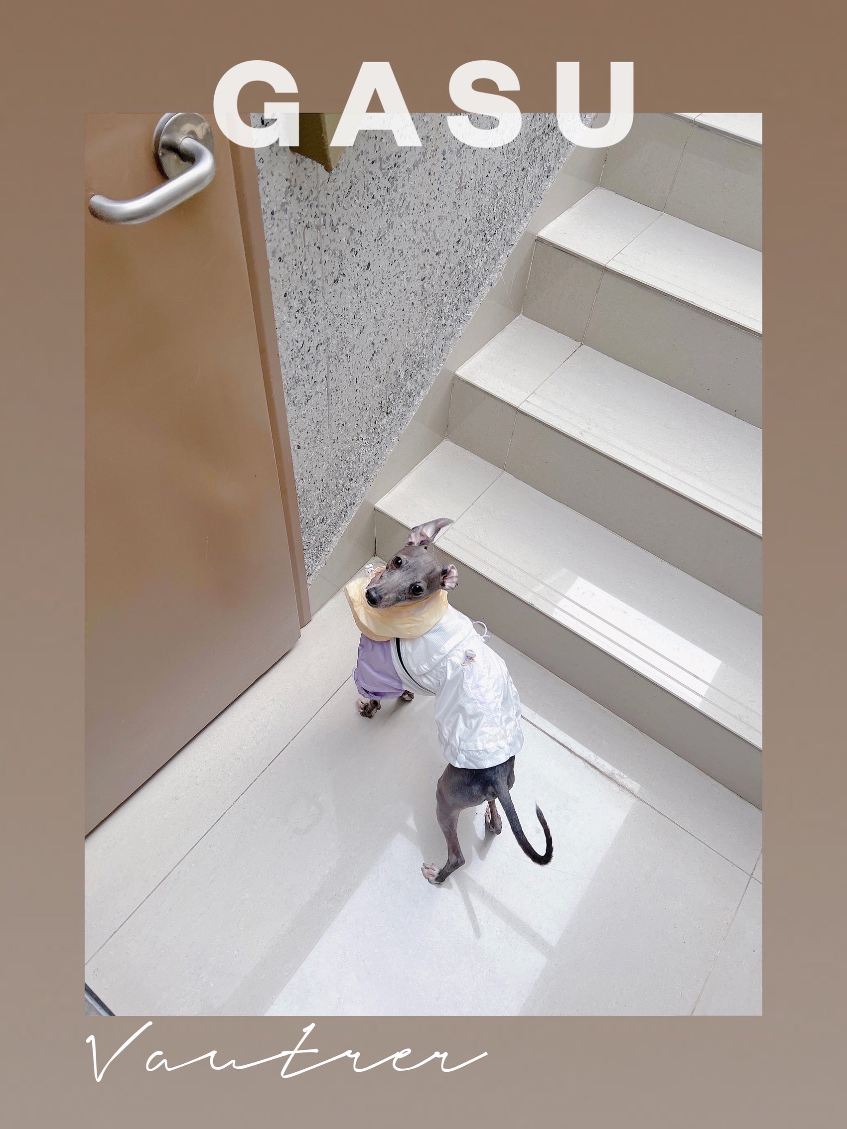 GASU Vautrer / [Cloudy Purple] Detachable 4-Leg Raincoat / Windbreaker Jacket