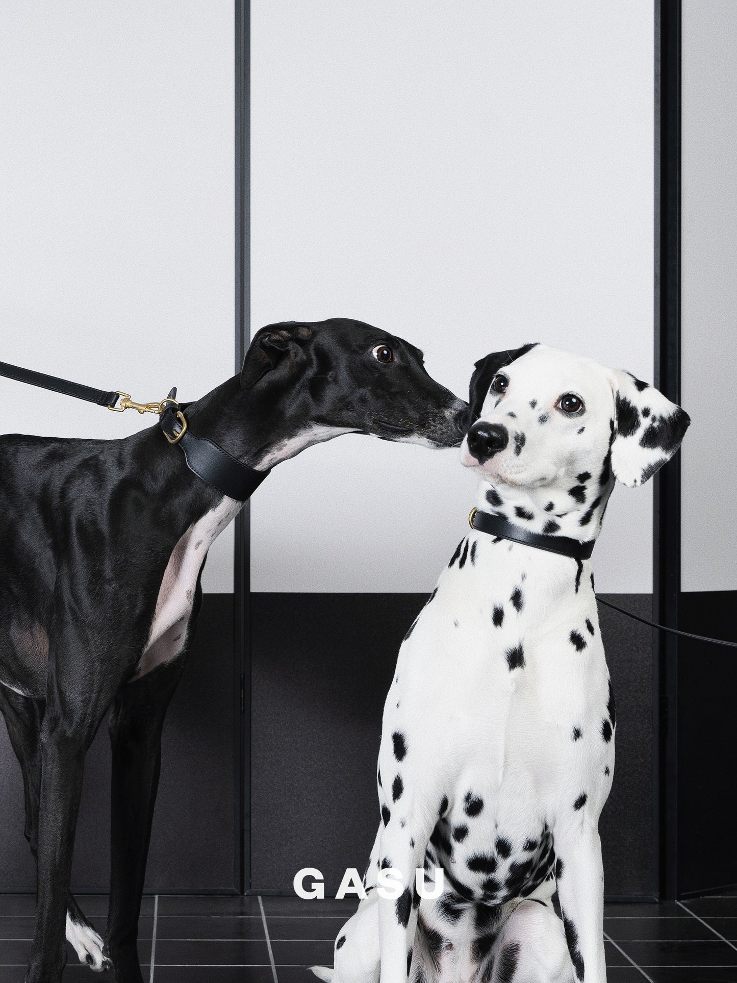 GASU Palette / [1.9cm Collar] Leather Dog Collar