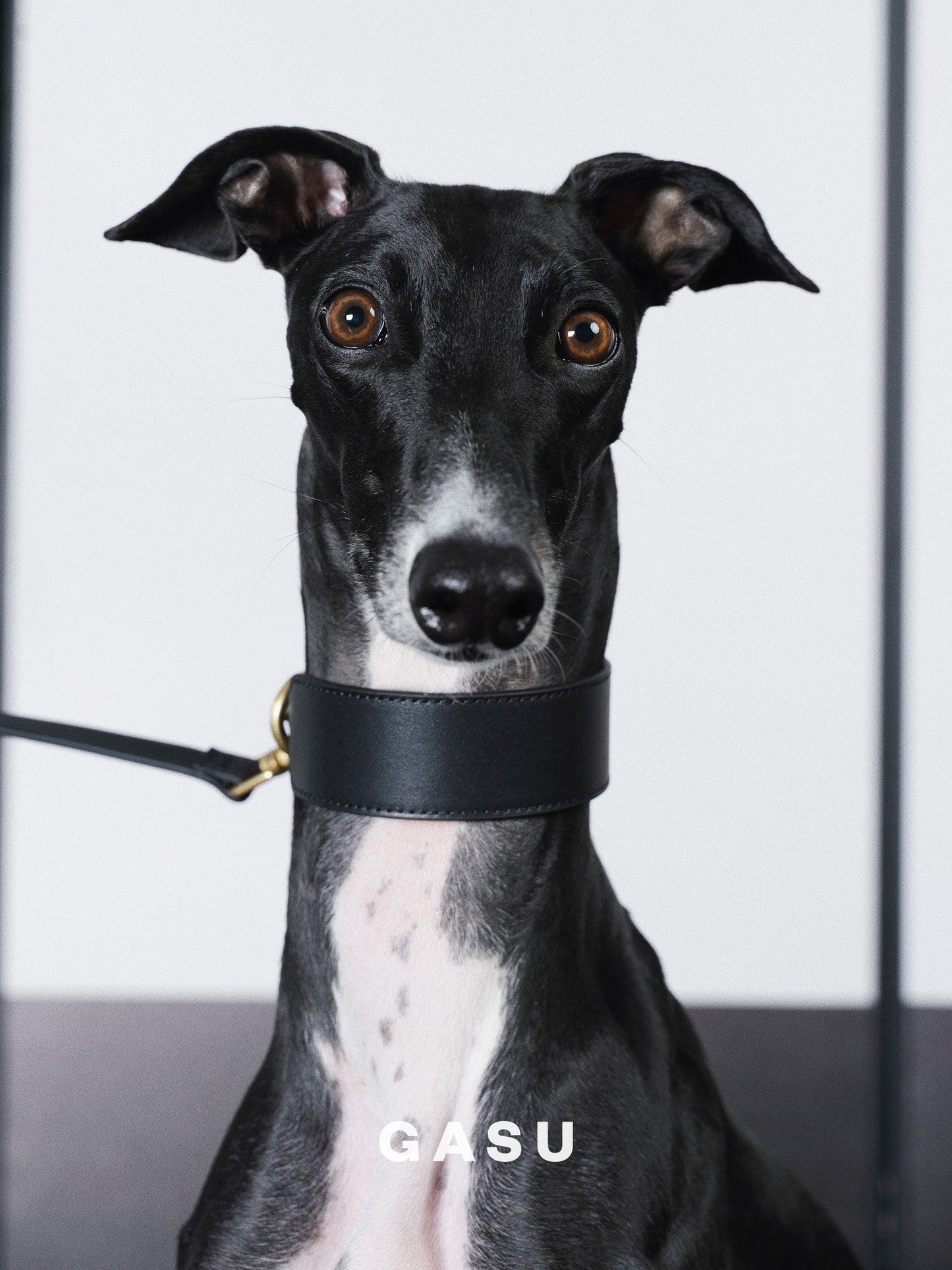 GASU Palette / [3.8cm Collar] Leather Dog Collar