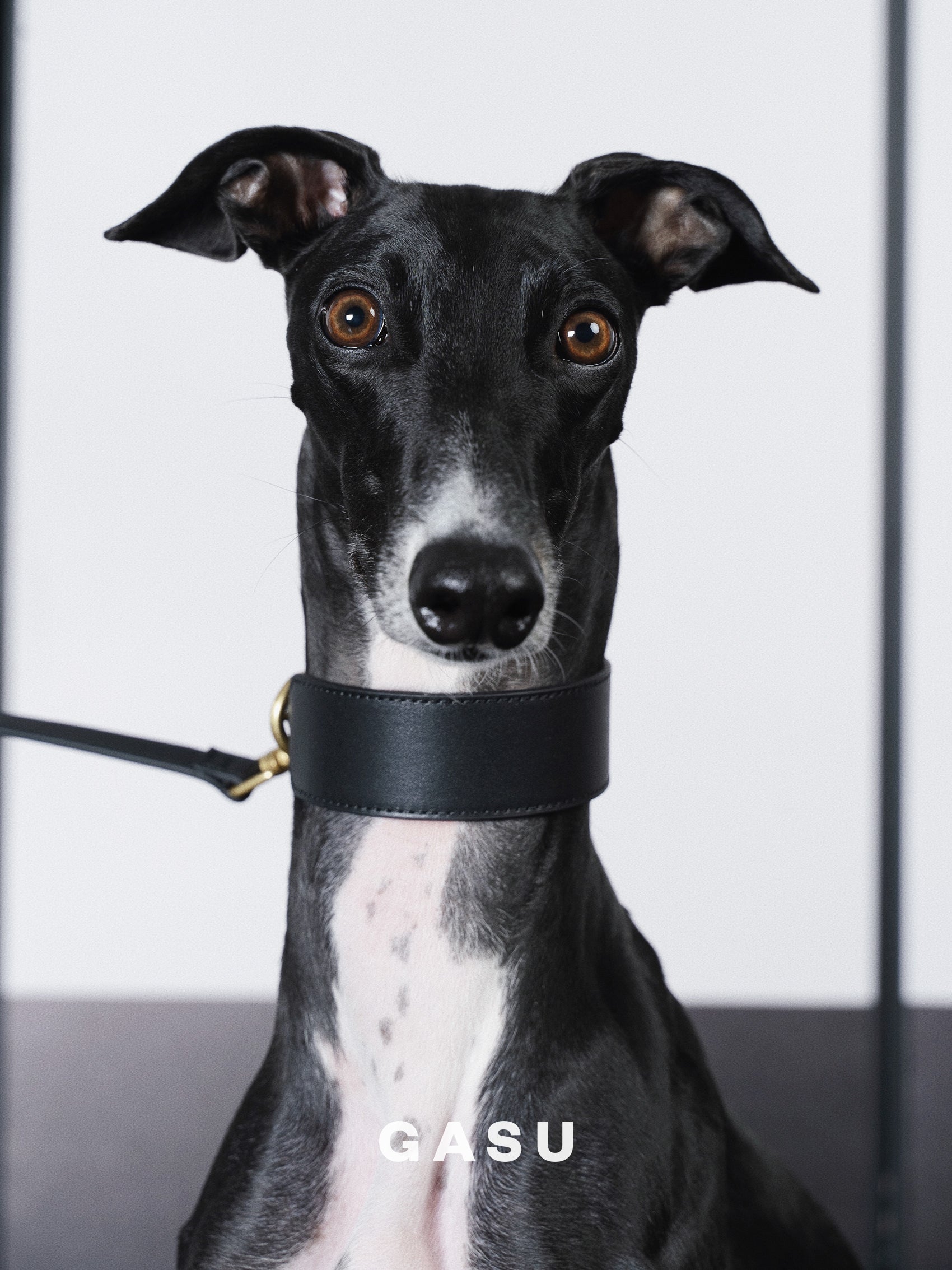 GASU Palette / [3.8cm Collar] Leather Dog Collar