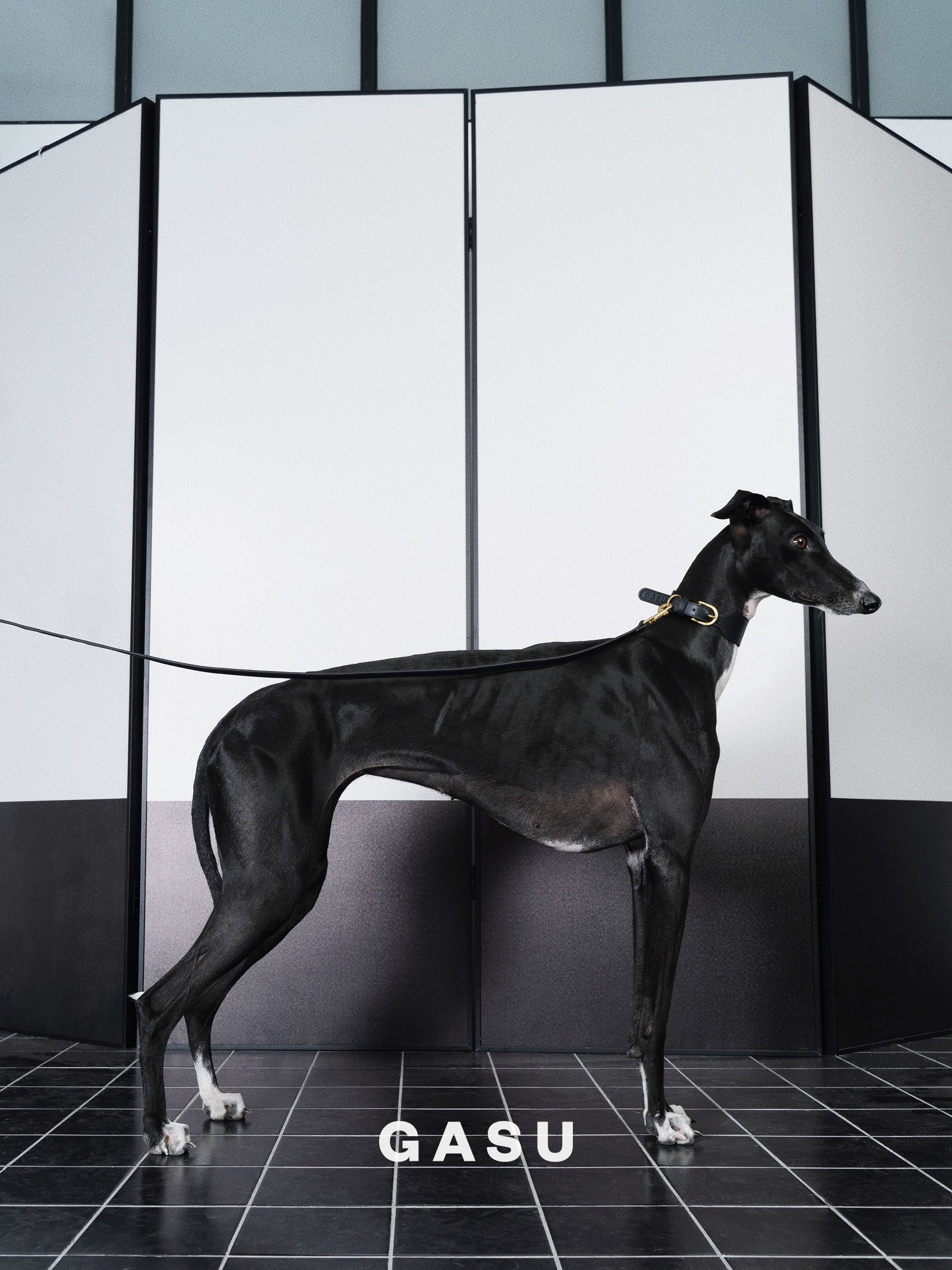 GASU Palette / [Leash] Leather Dog Leash