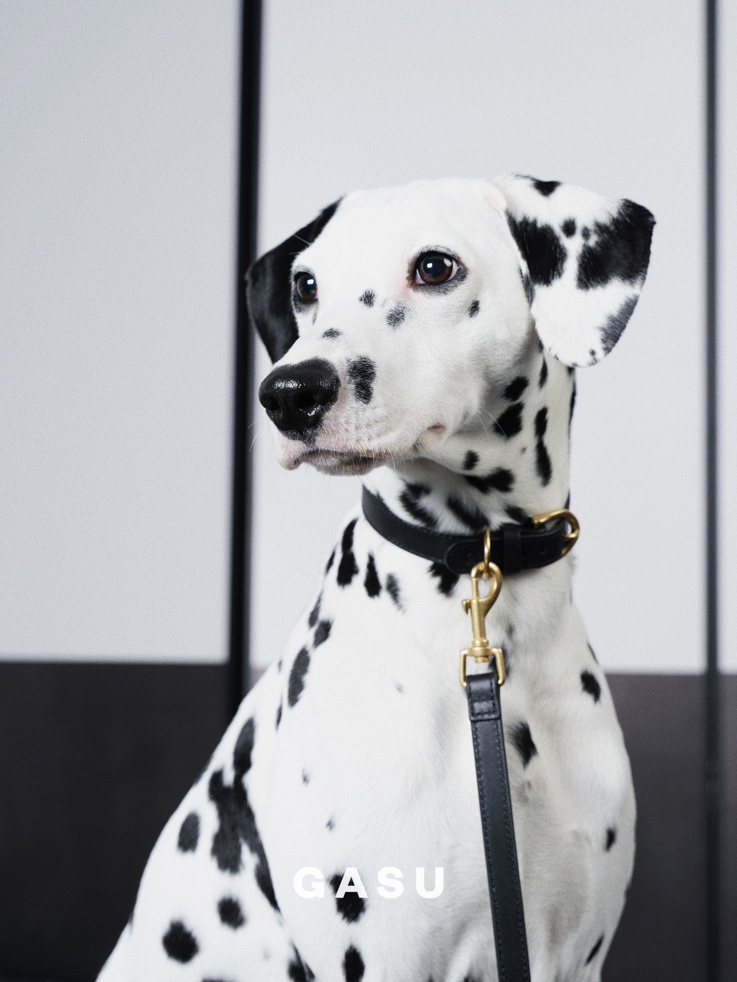 GASU Palette / [1.9cm Collar] Leather Dog Collar