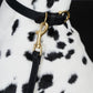 GASU Palette / [1.9cm Collar] Leather Dog Collar