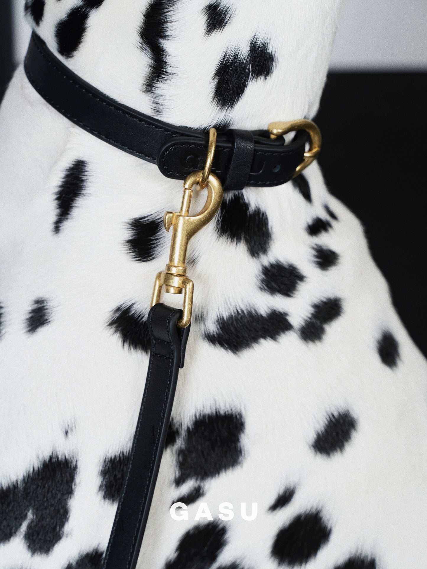 GASU Palette / [1.9cm Collar] Leather Dog Collar