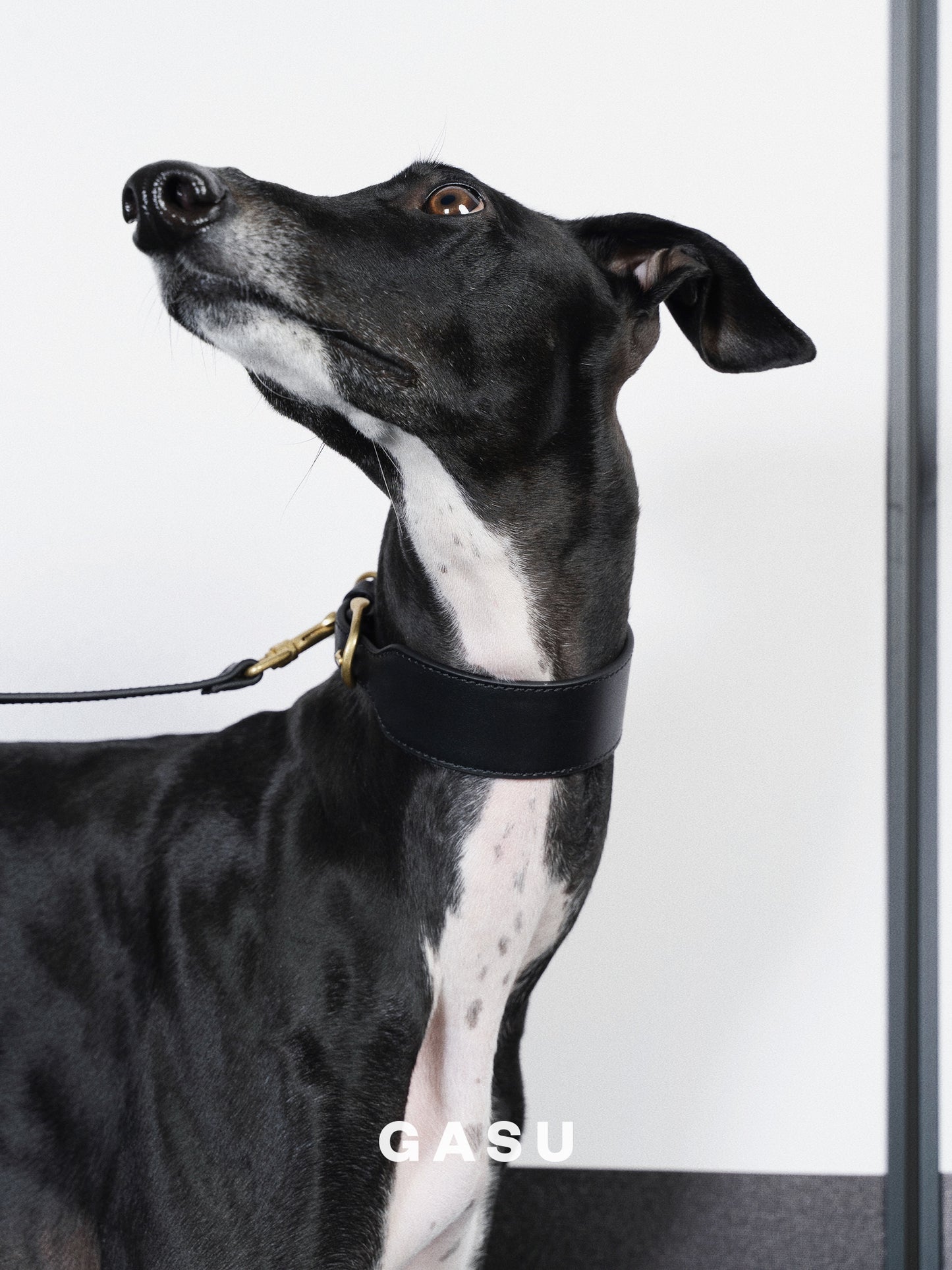 GASU Palette / [3.8cm Collar] Leather Dog Collar