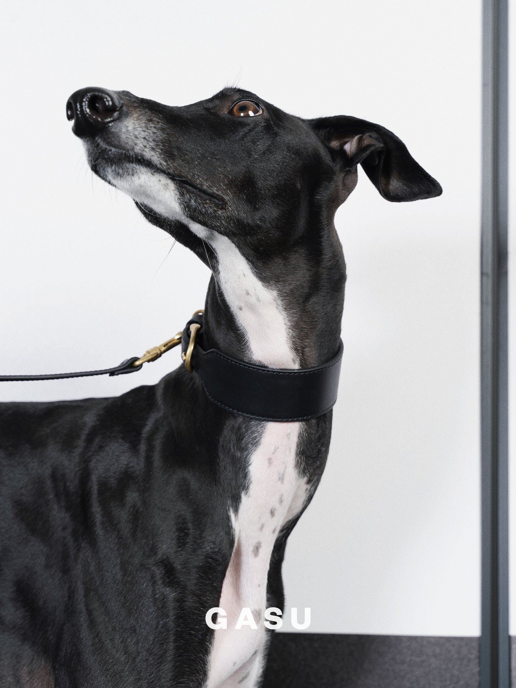 GASU Palette / [3.8cm Collar] Leather Dog Collar