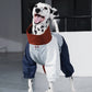 GASU Vautrer / [Brick Blue] Strong Waterproof Detachable 4-Leg Raincoat / Windbreaker Jacket