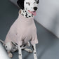 GASU Moi / [6 Colors] Cuttable 2-Sided Lazy Dog Tee