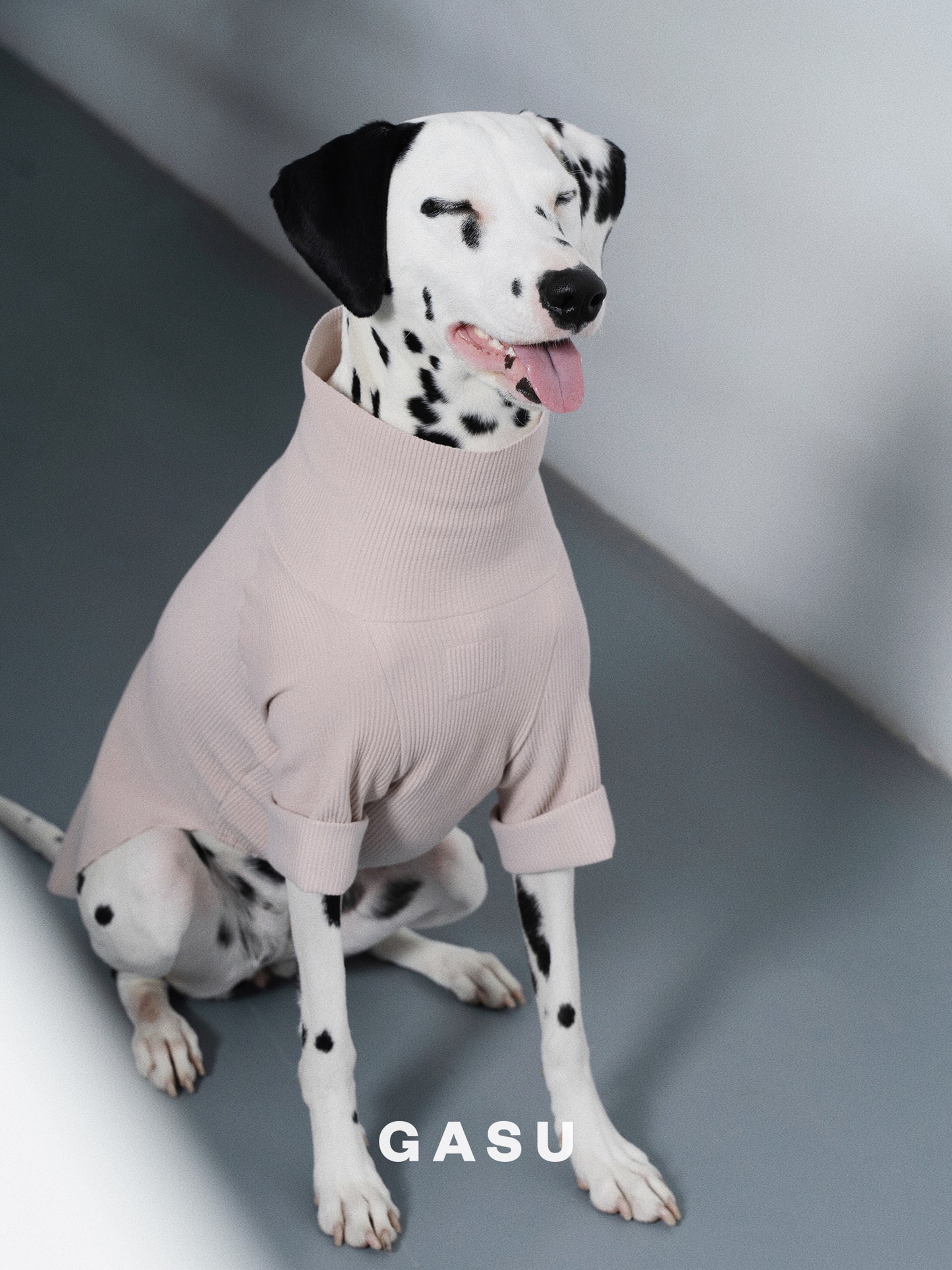 GASU Moi / [6 Colors] Cuttable 2-Sided Lazy Dog Tee