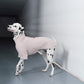 GASU Moi / [6 Colors] Cuttable 2-Sided Lazy Dog Tee
