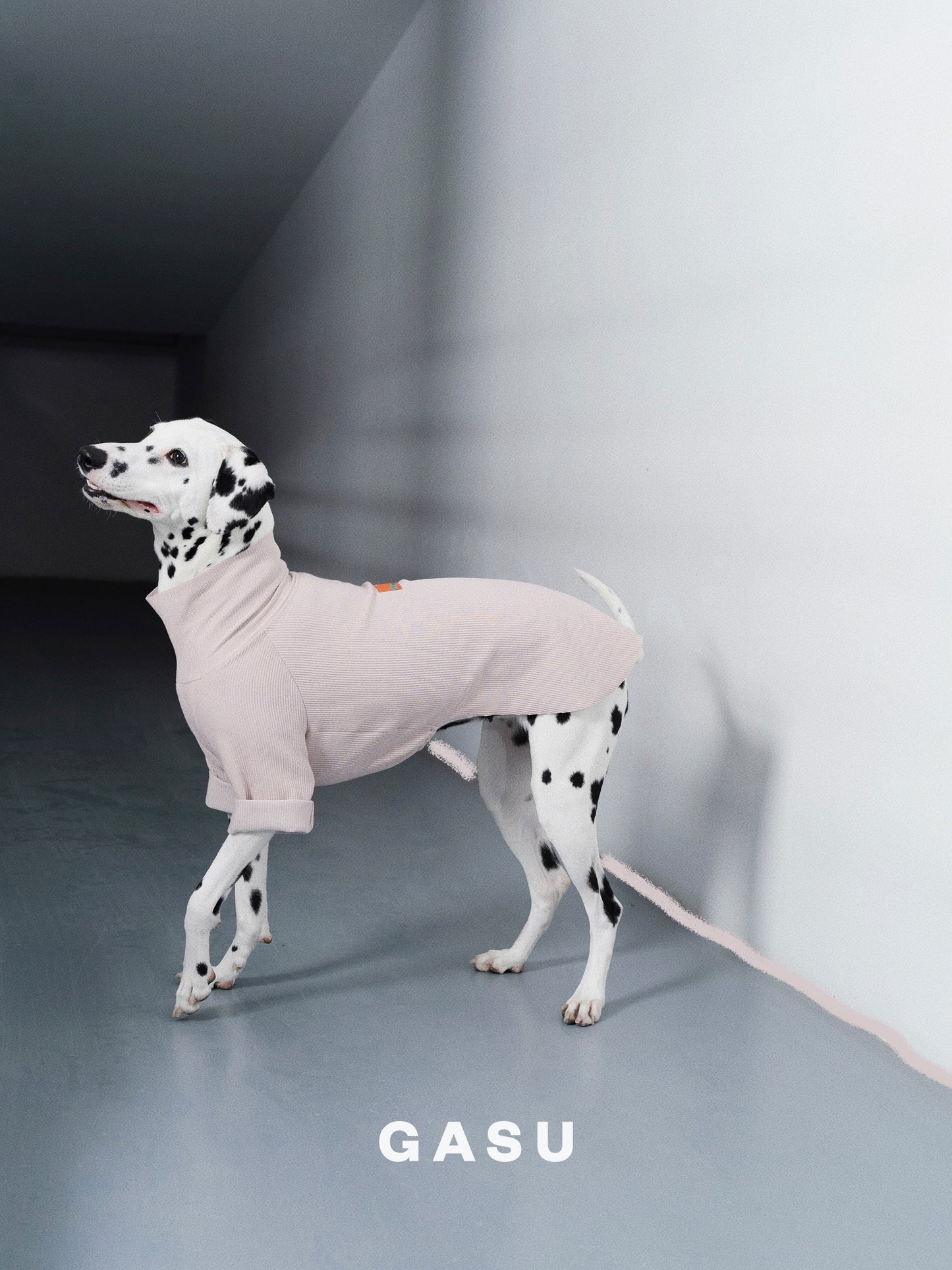 GASU Moi / [6 Colors] Cuttable 2-Sided Lazy Dog Tee