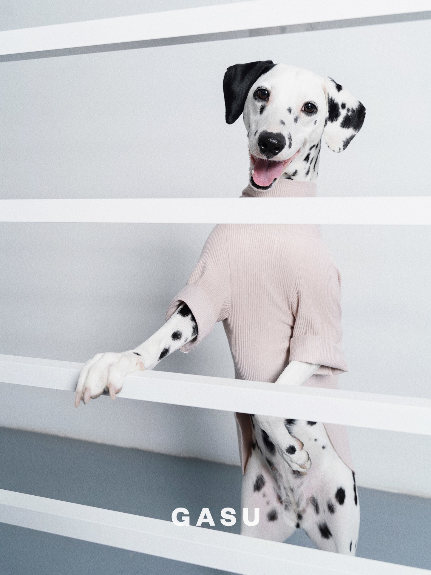 GASU Moi / [6 Colors] Cuttable 2-Sided Lazy Dog Tee