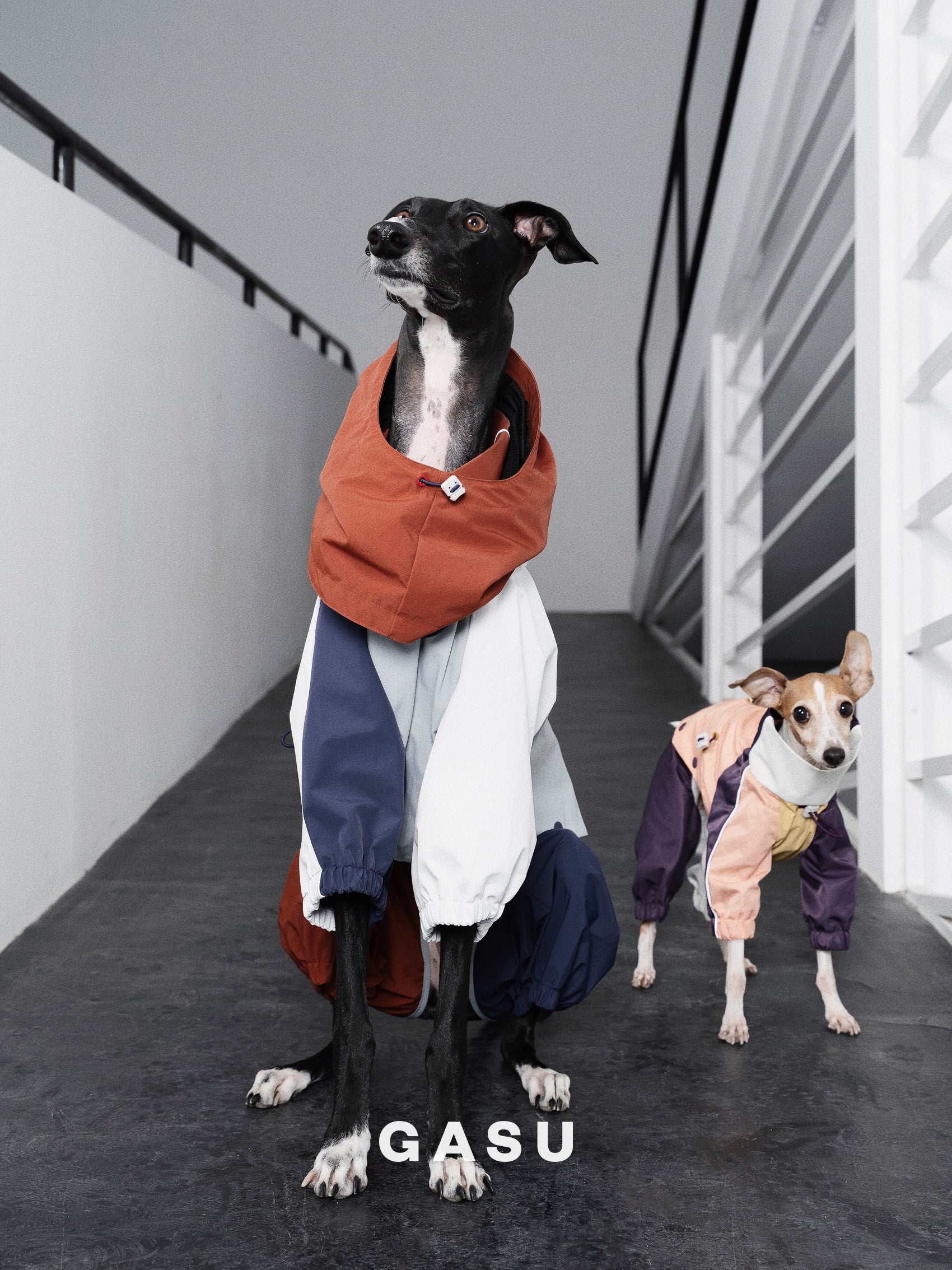 GASU Vautrer / [Brick Blue] Strong Waterproof Detachable 4-Leg Raincoat / Windbreaker Jacket