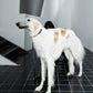 GASU Palette / [1.9cm Collar] Leather Dog Collar