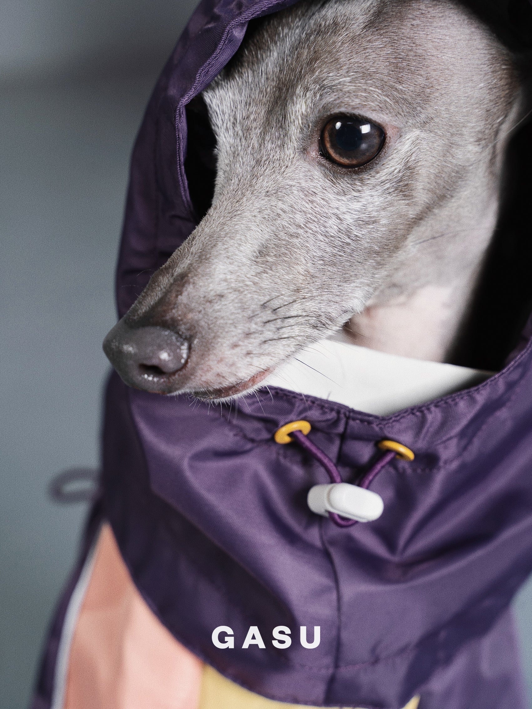 GASU Vautrer / [Rain Hat] Detachable Snood