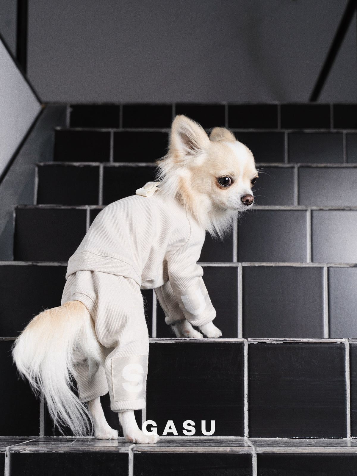 GASU Assembler / [Lucent White] 4-Leg Jumpsuit