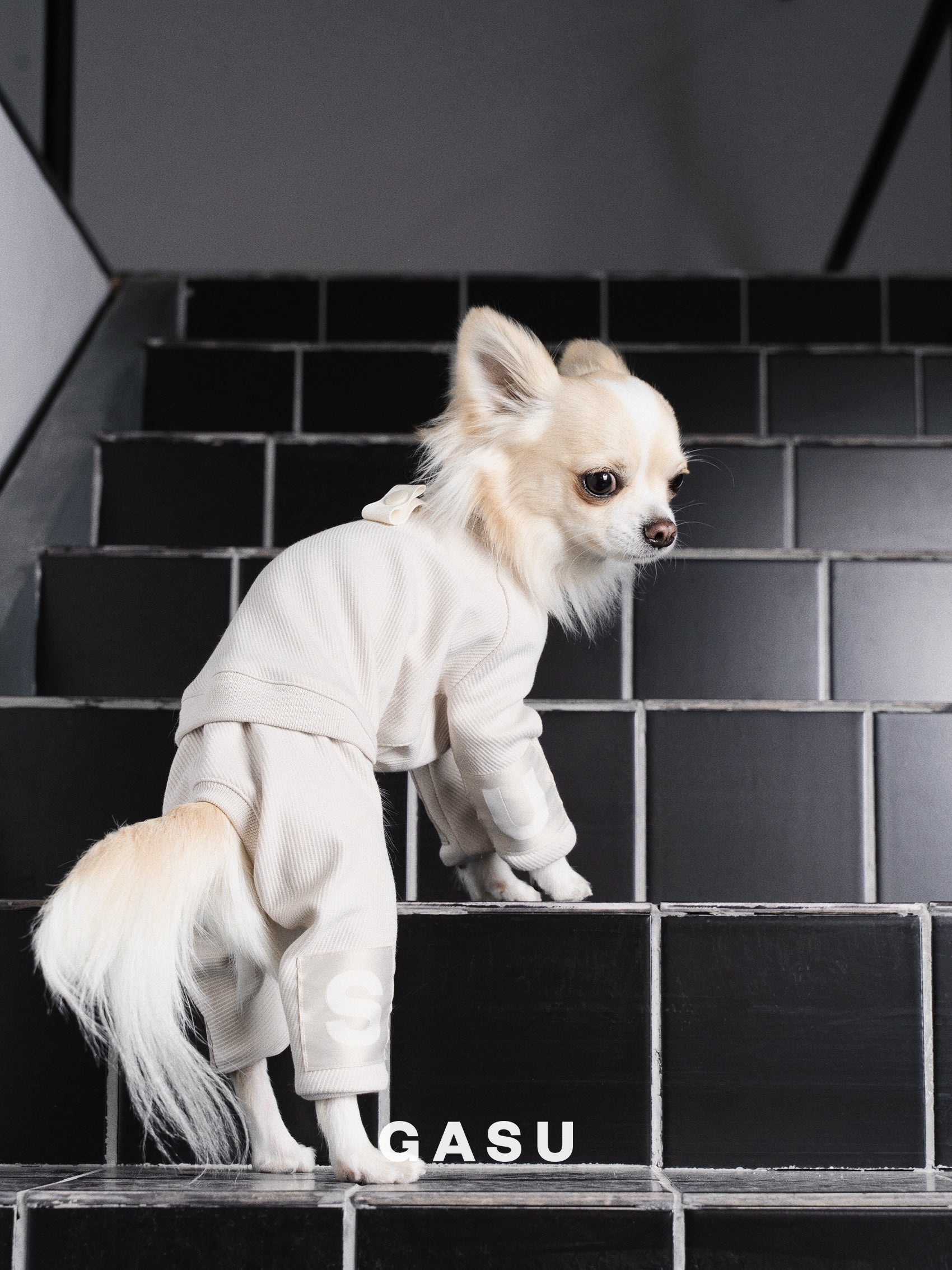 GASU Assembler / [Lucent White] 4-Leg Jumpsuit