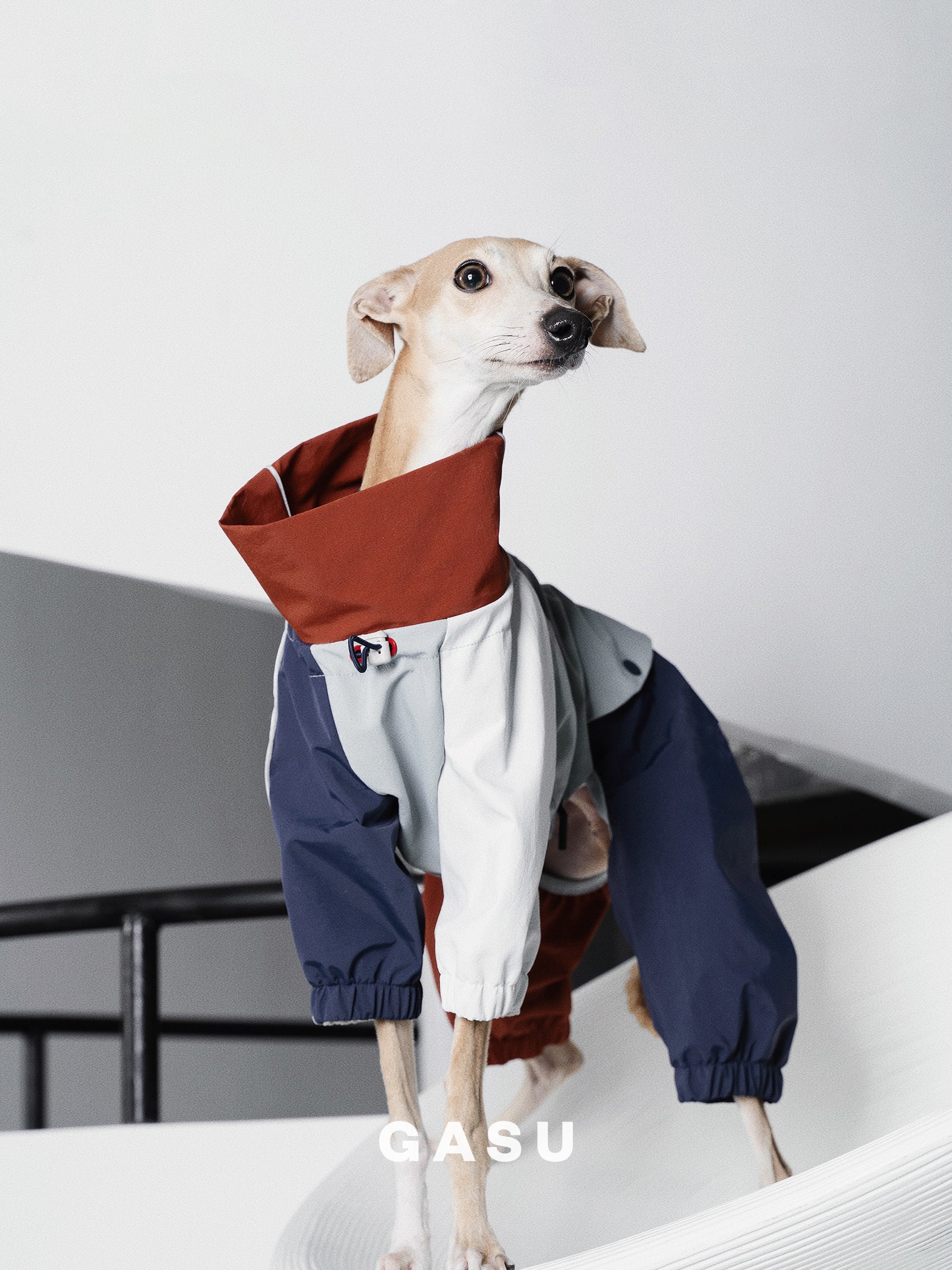 GASU Vautrer / [Brick Blue] Strong Waterproof Detachable 4-Leg Raincoat / Windbreaker Jacket