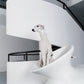 GASU Assembler / [Lucent White] 4-Leg Jumpsuit