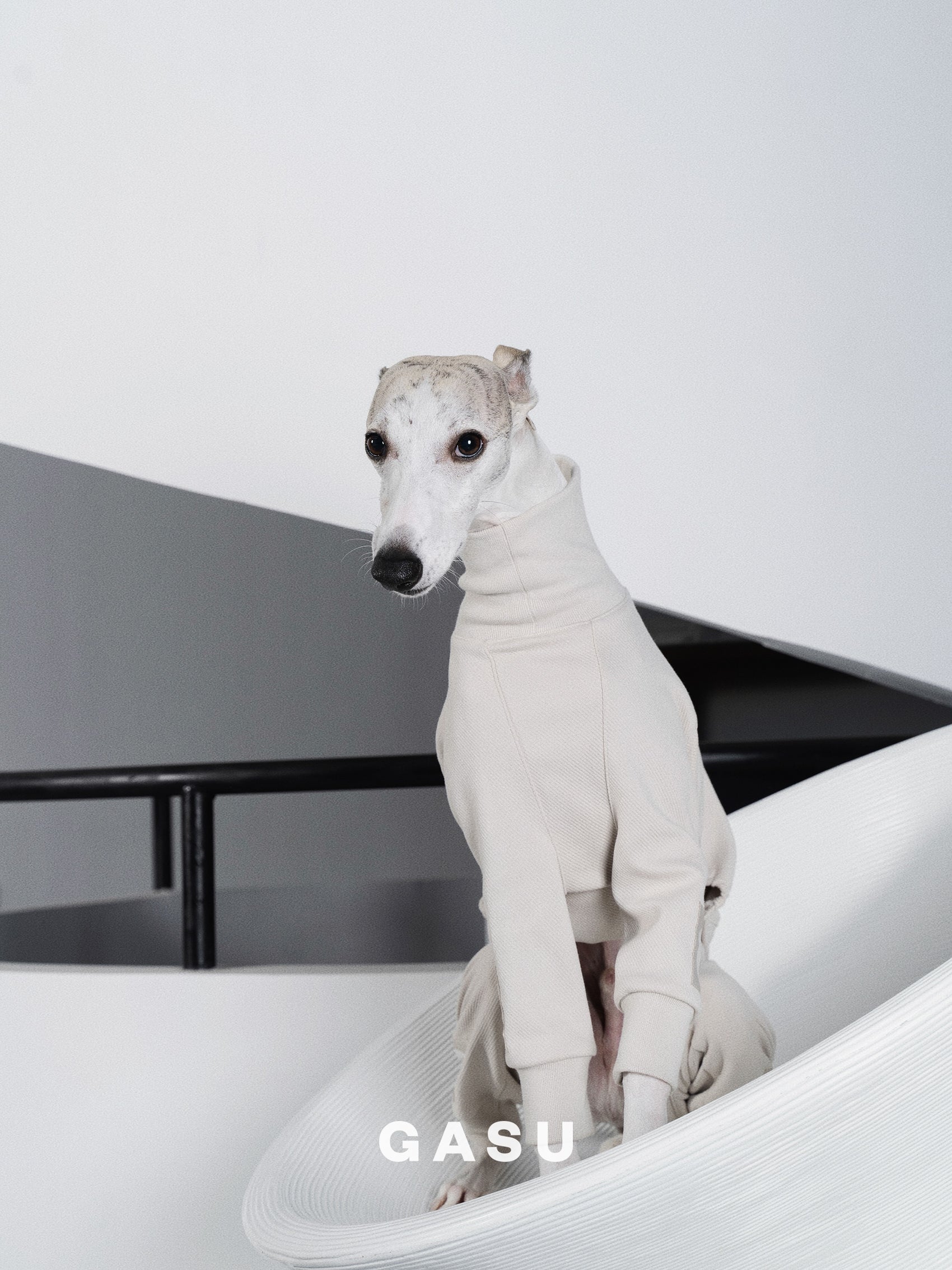GASU Assembler / [Lucent White] 4-Leg Jumpsuit