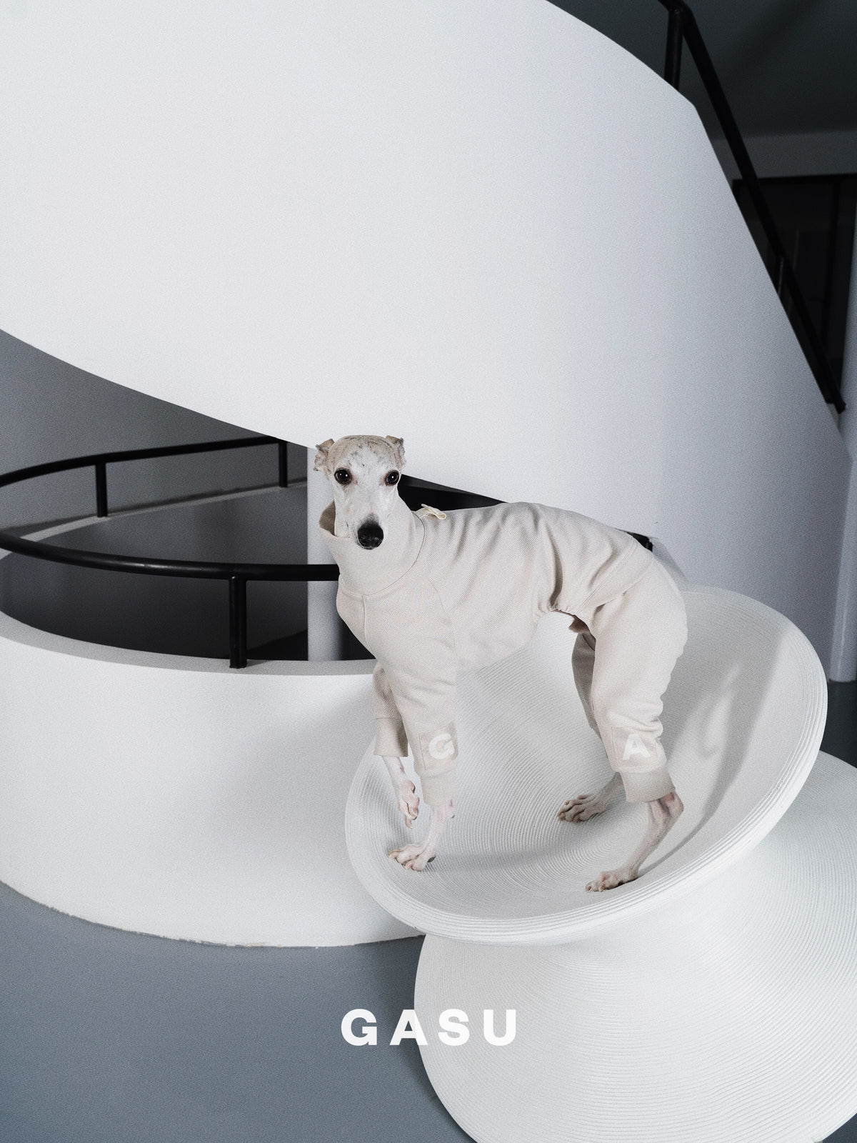 GASU Assembler / [Lucent White] 4-Leg Jumpsuit