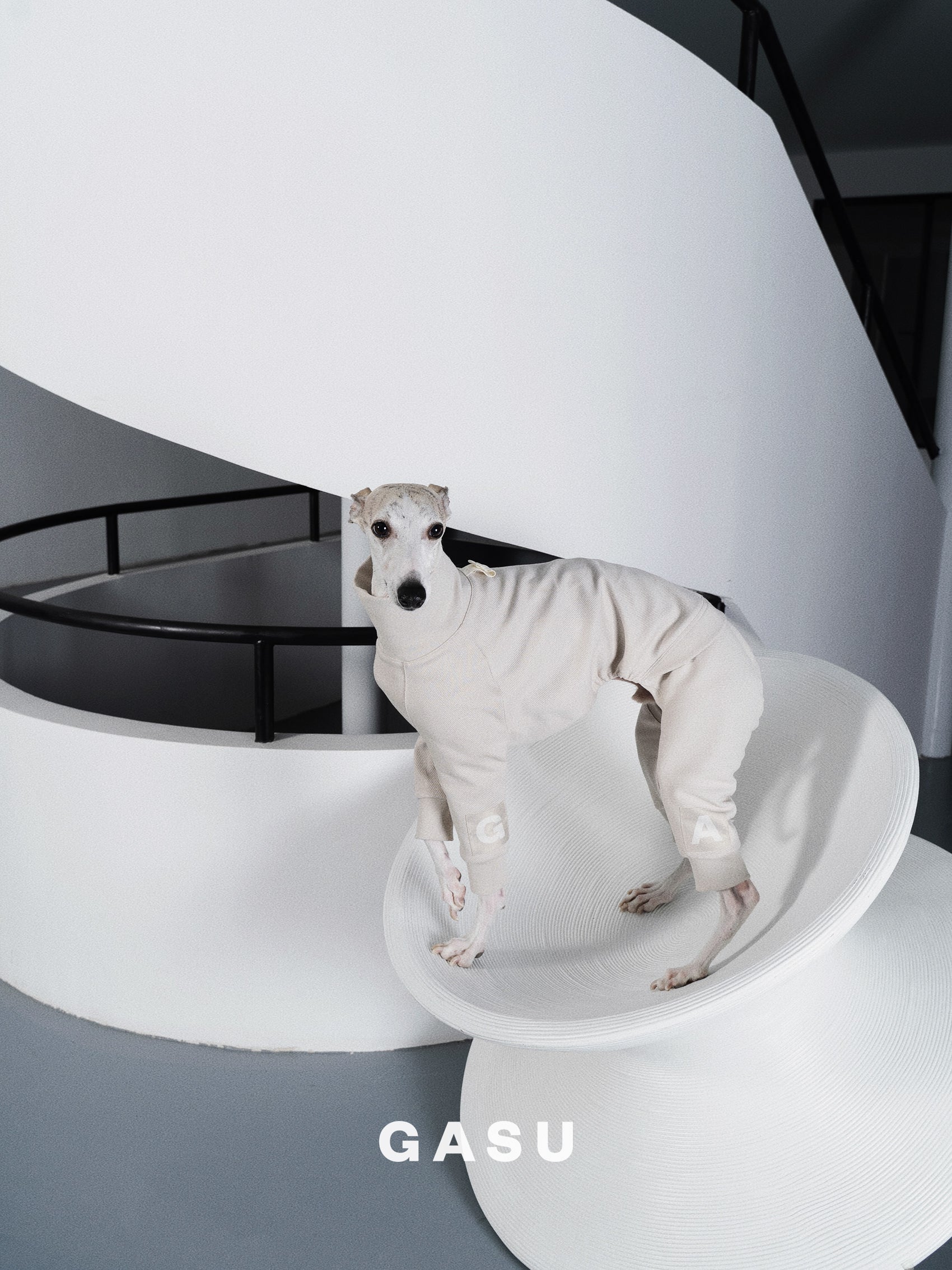 GASU Assembler / [Lucent White] 4-Leg Jumpsuit