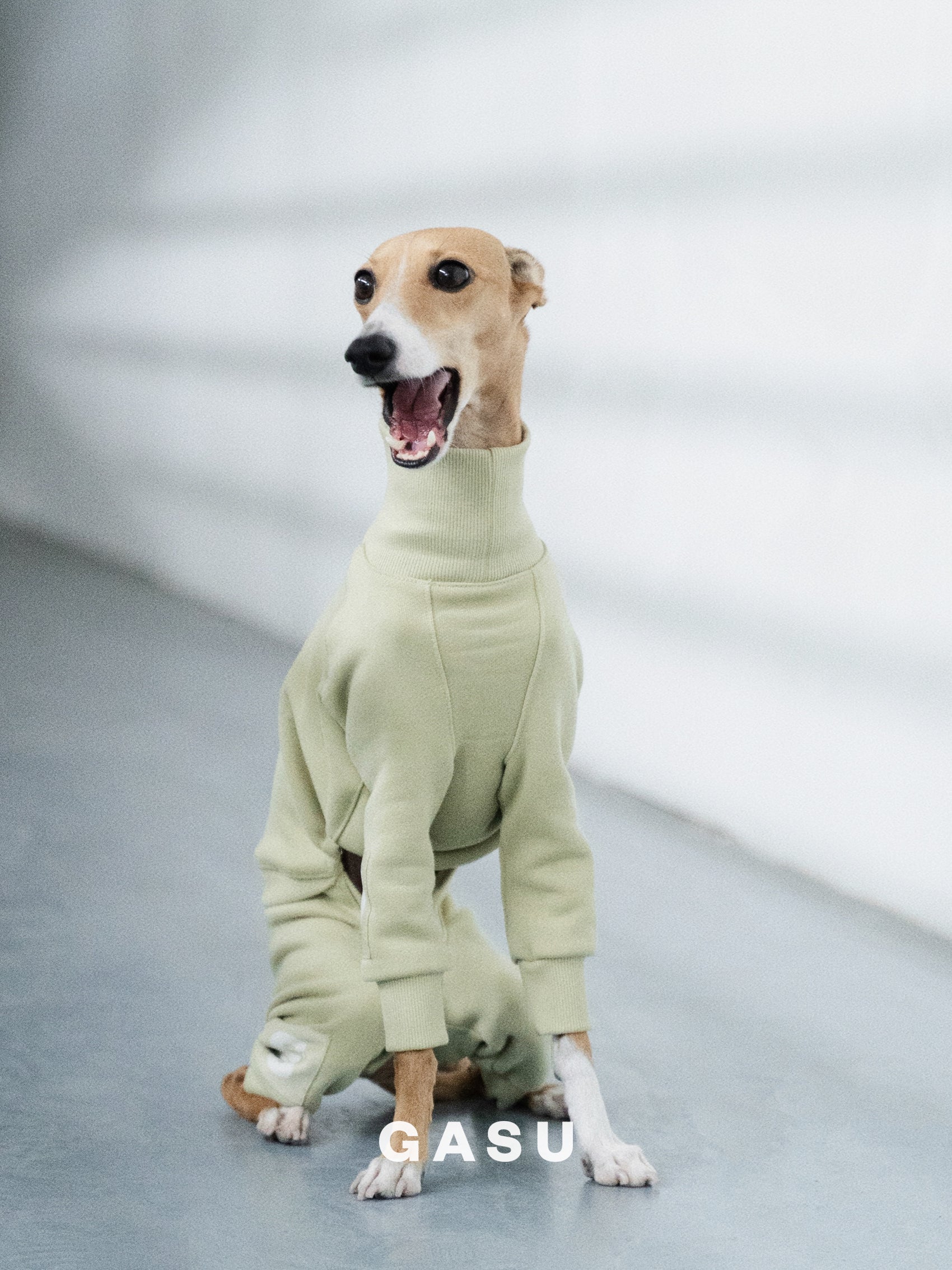 GASU Assembler / [Celadon Green] 4-Leg Jumpsuit