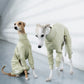 GASU Assembler / [Celadon Green] 4-Leg Jumpsuit