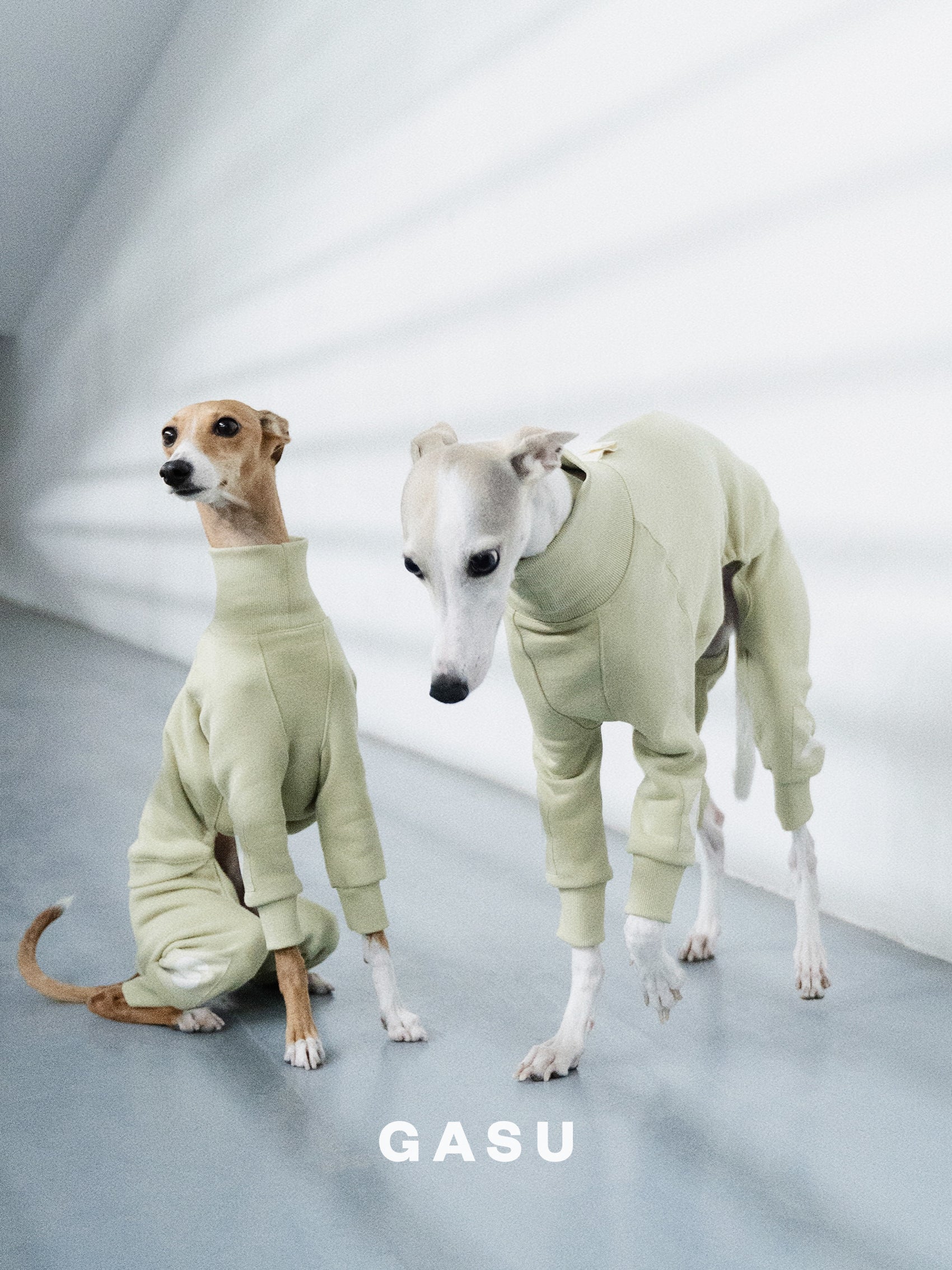 GASU Assembler / [Celadon Green] 4-Leg Jumpsuit