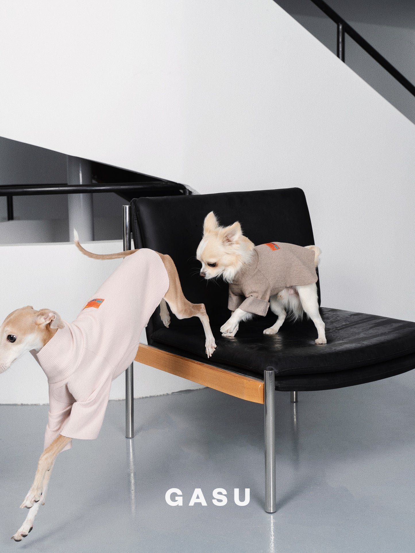 GASU Moi / [6 Colors] Cuttable 2-Sided Lazy Dog Tee
