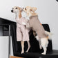 GASU Moi / [6 Colors] Cuttable 2-Sided Lazy Dog Tee