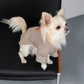 GASU Moi / [6 Colors] Cuttable 2-Sided Lazy Dog Tee