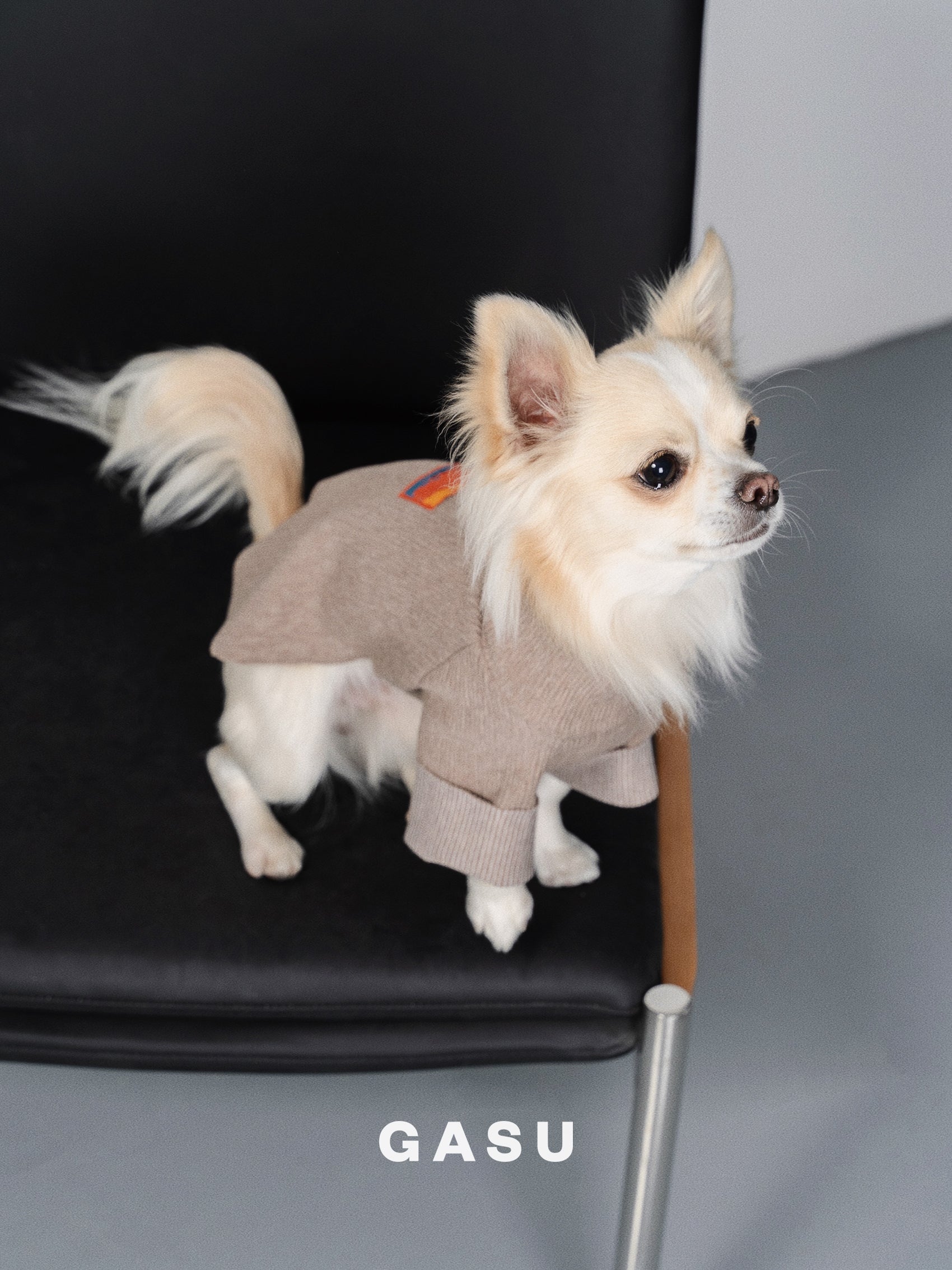 GASU Moi / [6 Colors] Cuttable 2-Sided Lazy Dog Tee
