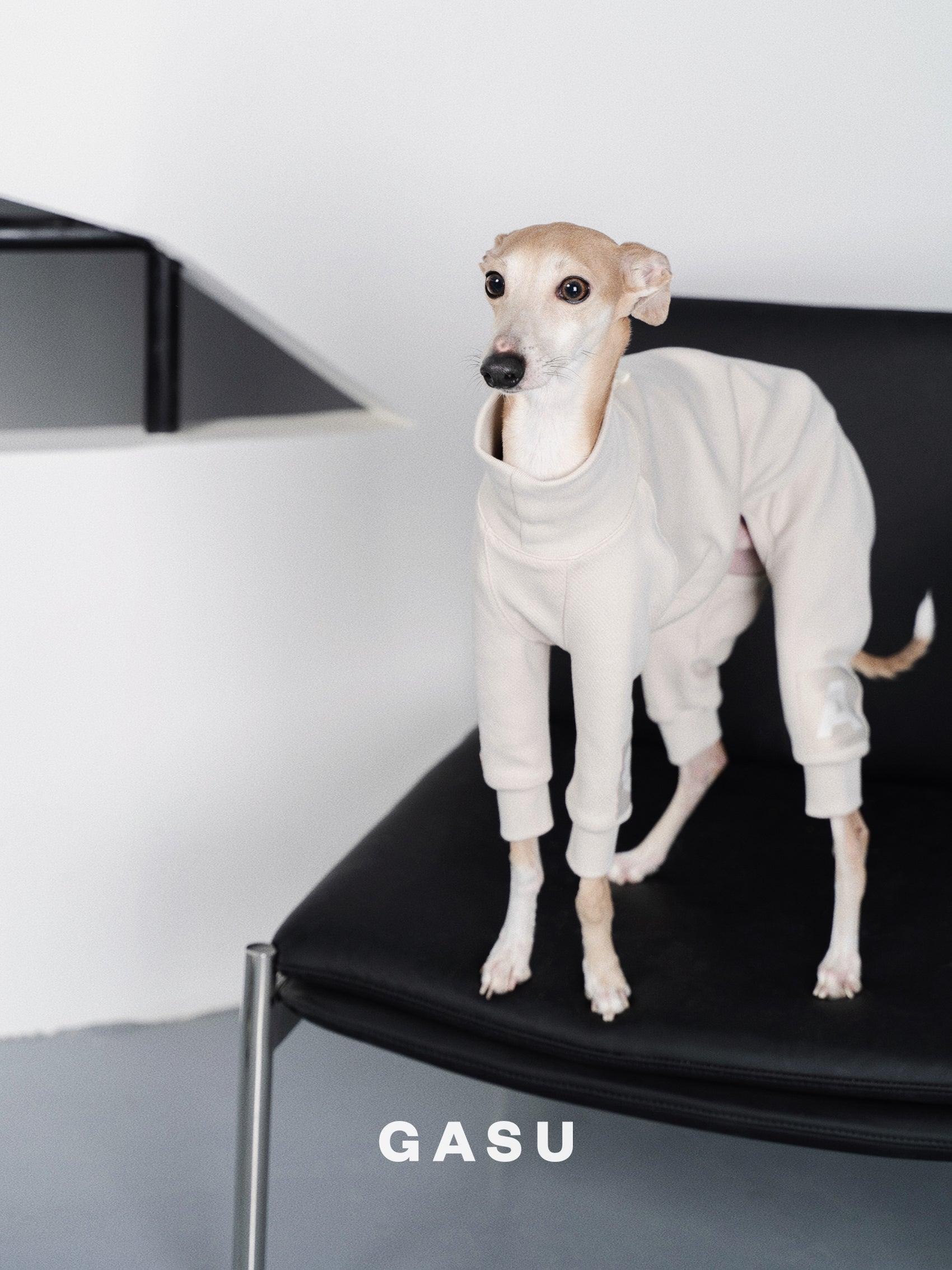 GASU Assembler / [Lucent White] 4-Leg Jumpsuit