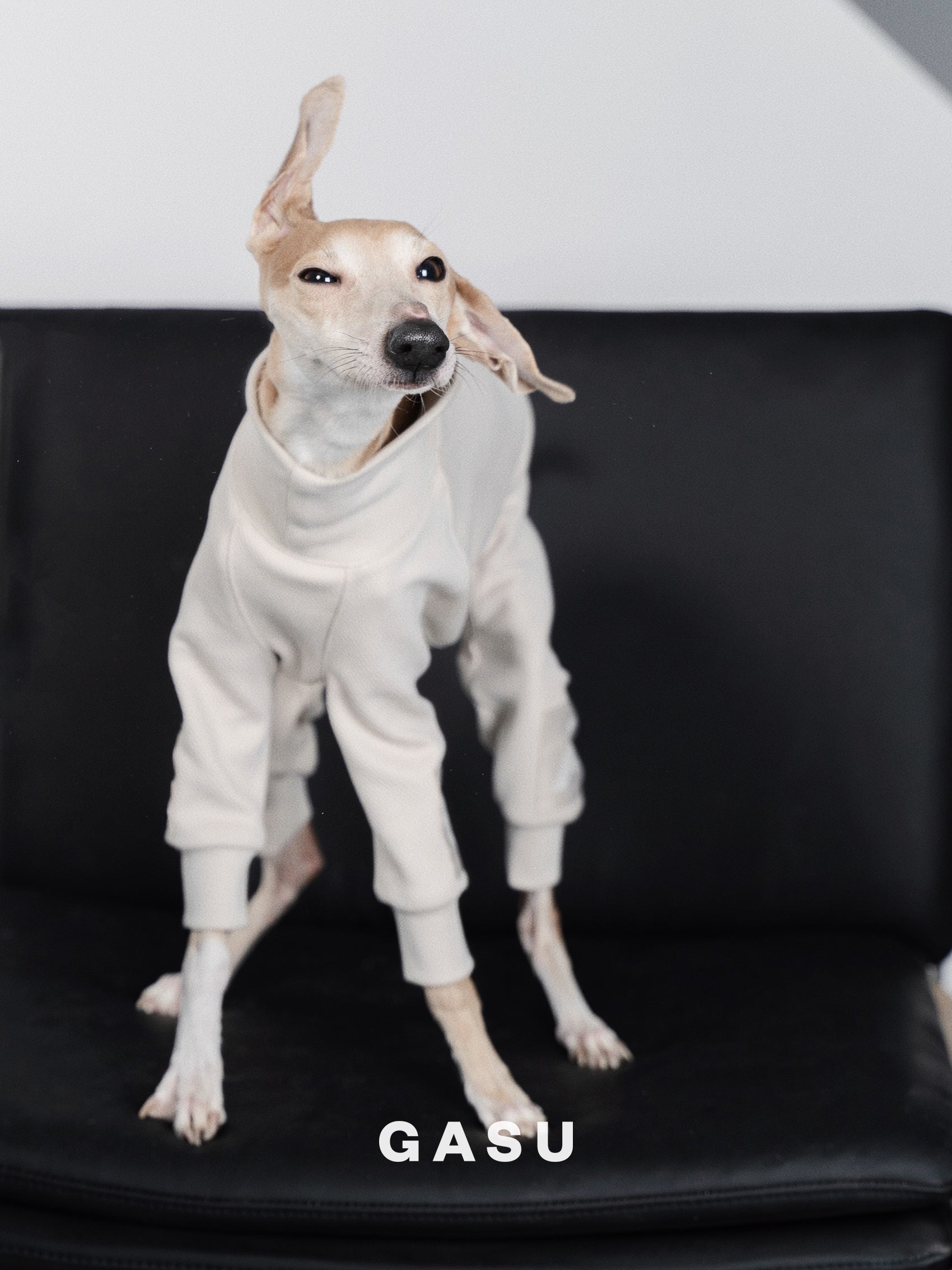GASU Assembler / [Lucent White] 4-Leg Jumpsuit