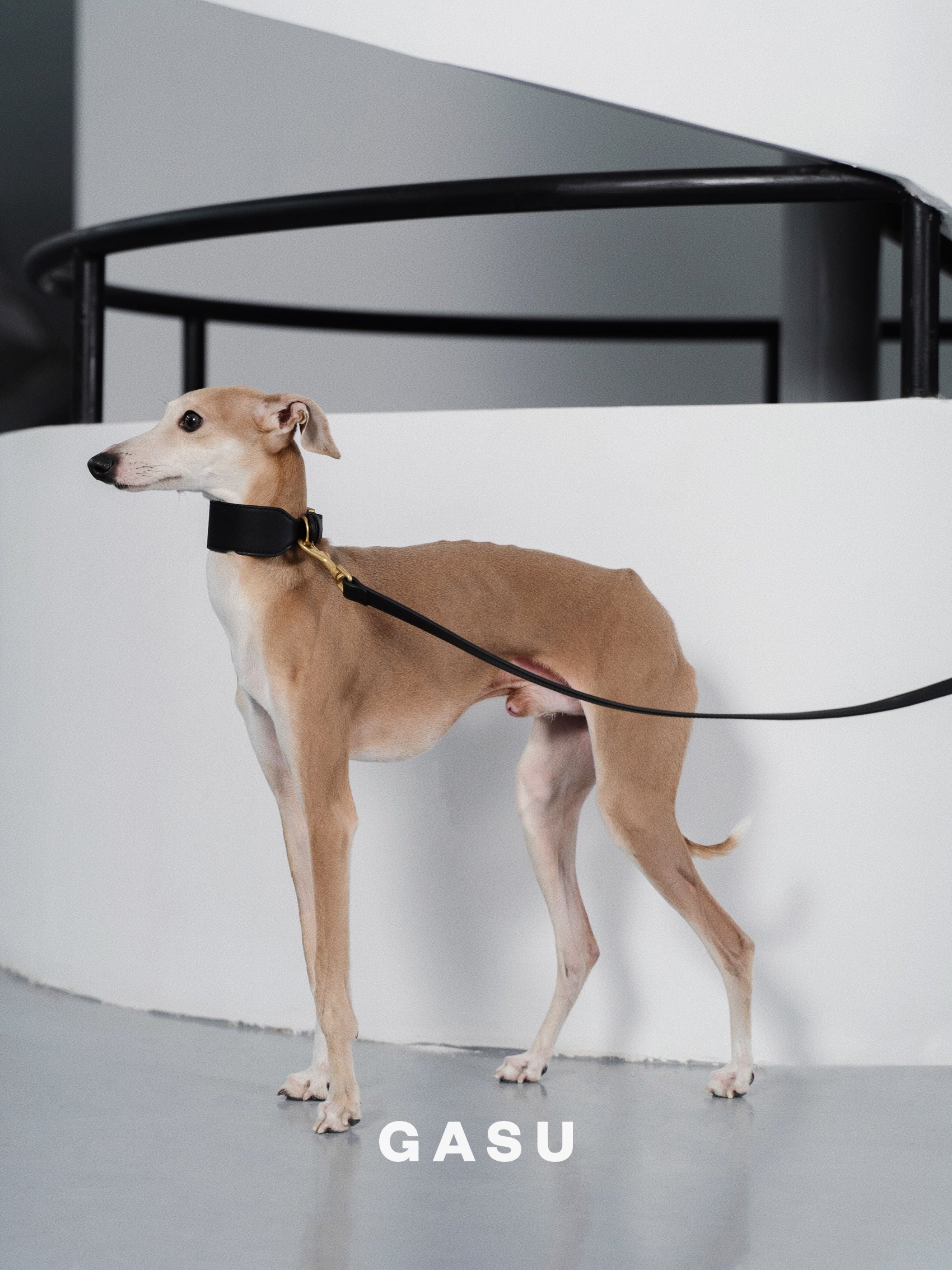 GASU Palette / [Leash] Leather Dog Leash