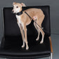 GASU Palette / [3.8cm Collar] Leather Dog Collar