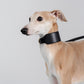 GASU Palette / [3.8cm Collar] Leather Dog Collar
