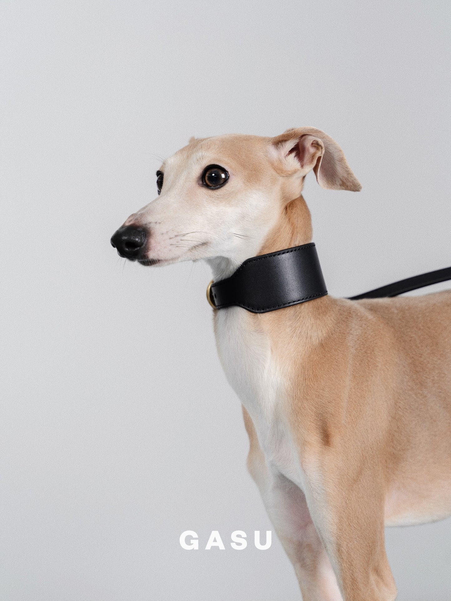 GASU Palette / [3.8cm Collar] Leather Dog Collar