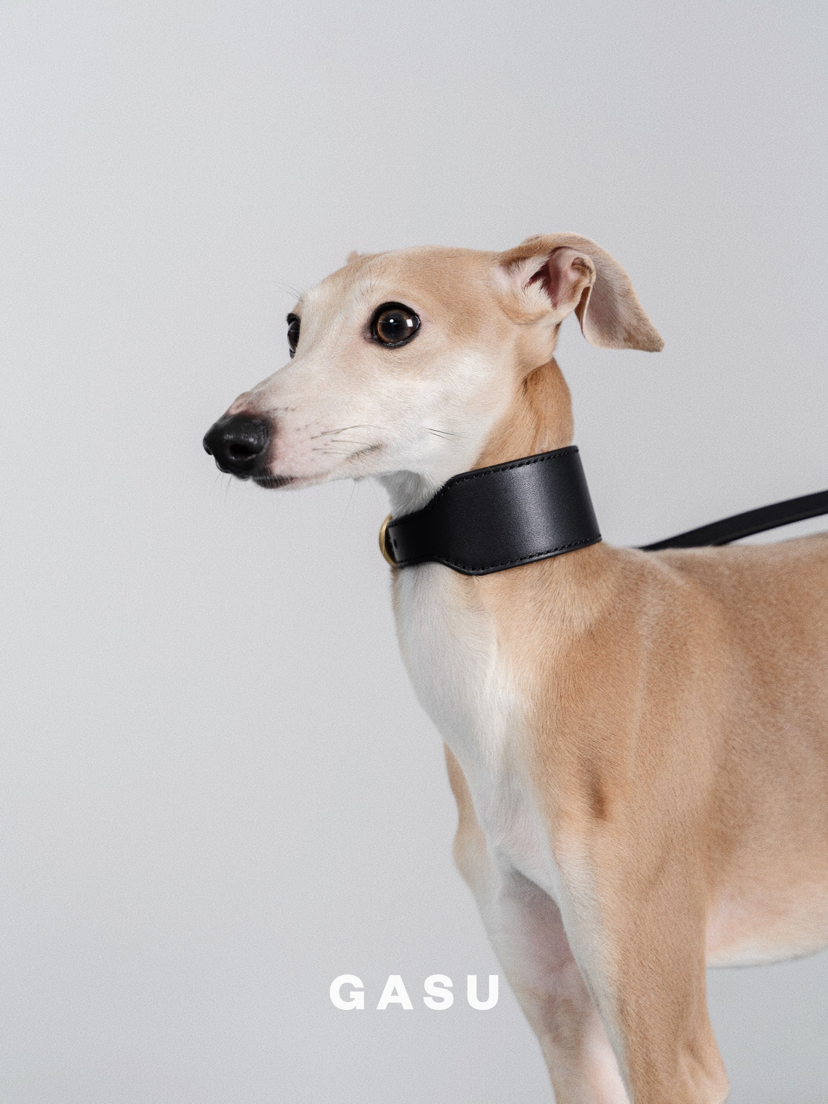 GASU Palette / [3.8cm Collar] Leather Dog Collar