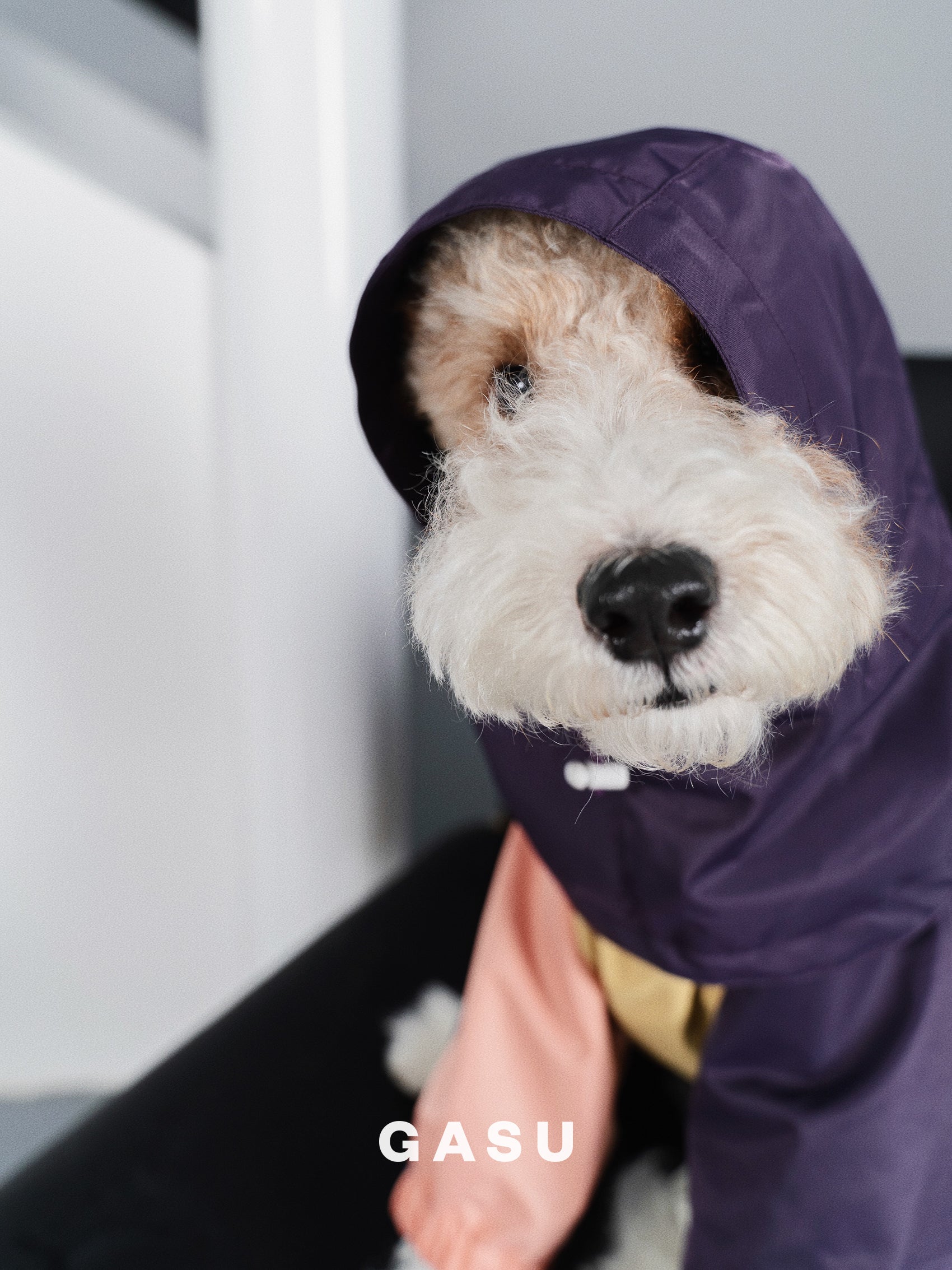 GASU Vautrer / [Rain Hat] Detachable Snood