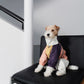 GASU Vautrer / [Peach Khaki] Strong Waterproof Detachable 4-Leg Raincoat / Windbreaker Jacket