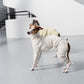 GASU Assembler / [Lucent White] 4-Leg Jumpsuit
