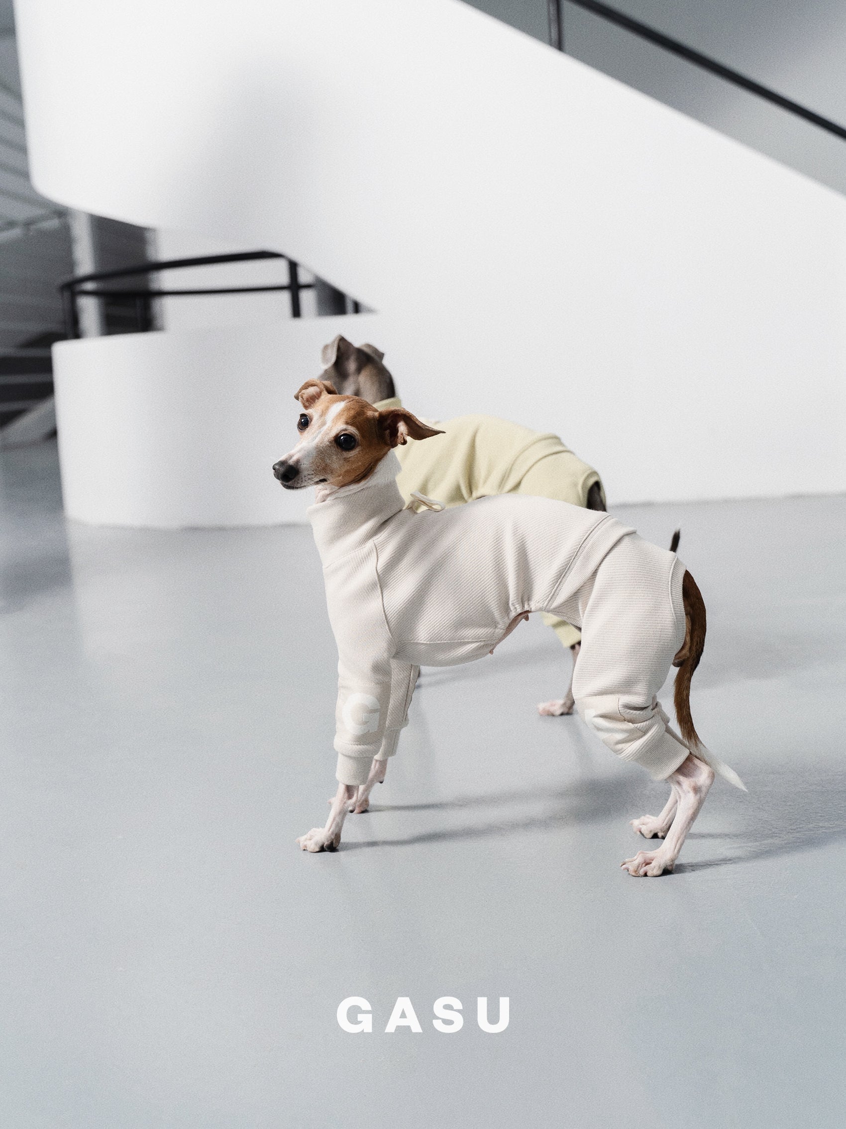 GASU Assembler / [Lucent White] 4-Leg Jumpsuit