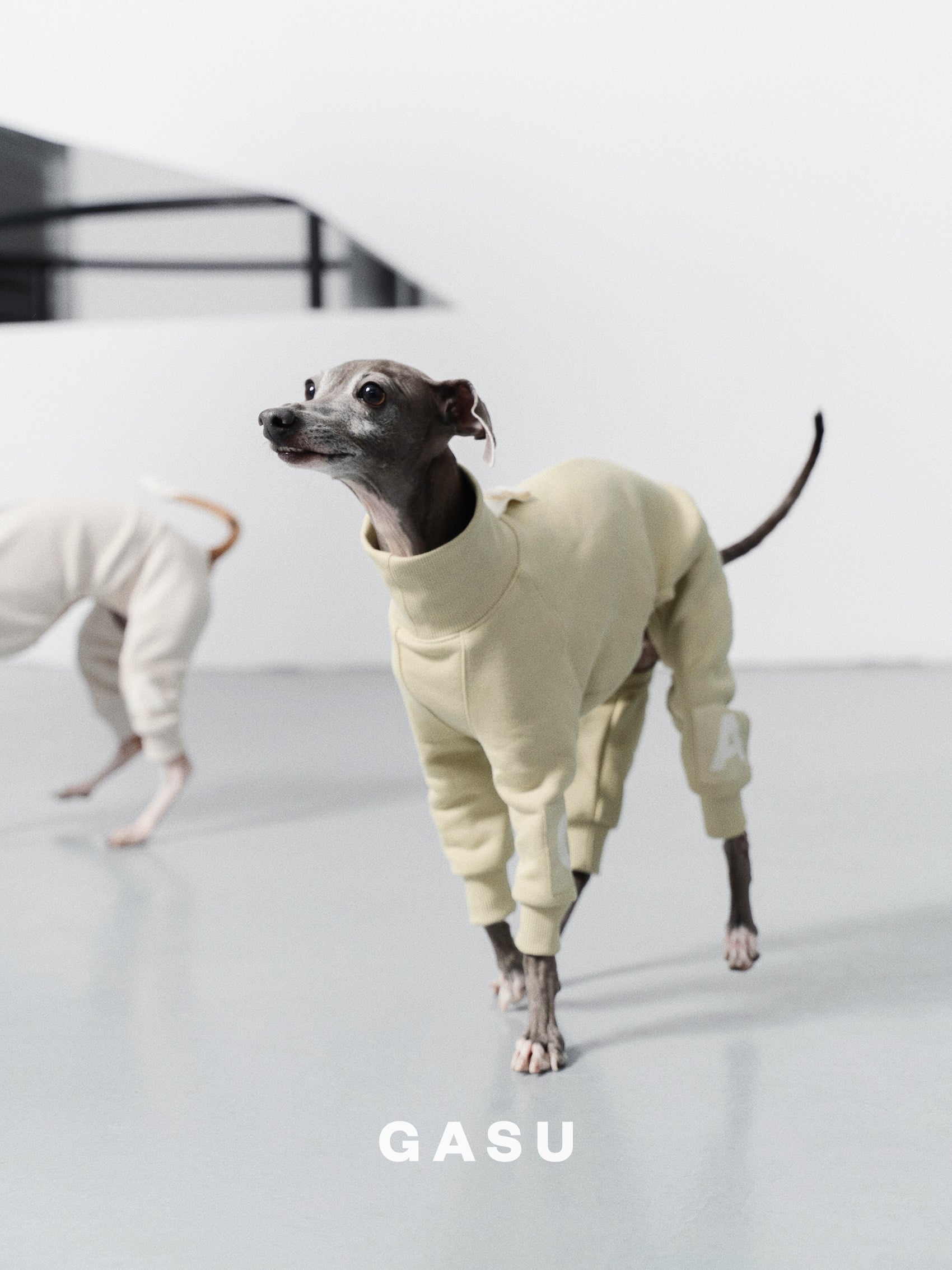 GASU Assembler / [Celadon Green] 4-Leg Jumpsuit